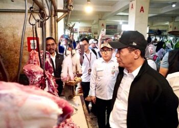 Pengawasan Diperketat, Kementan Minta Masyarakat Laporkan Penjualan Daging di Atas HAP