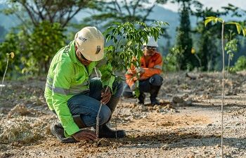 NHM Pulihkan 232,69 Hektar Lahan Bekas Tambang, Tegaskan Komitmen ESG