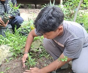 Dari Sampah ke Harapan: Kolaborasi FPCI dan Ayo Less Waste Tanam Bibit Pohon di Aceh untuk Cegah Banjir