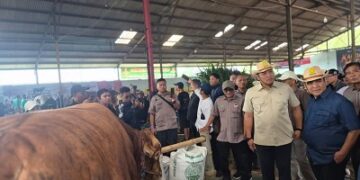 Wamentan Sudaryono Ingatkan Pentingnya Menjaga Sapi Betina Produktif, Ahmad Muzani Dorong Kontes Jadi Simpul Pasar Ternak