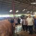 Wamentan Sudaryono Ingatkan Pentingnya Menjaga Sapi Betina Produktif, Ahmad Muzani Dorong Kontes Jadi Simpul Pasar Ternak