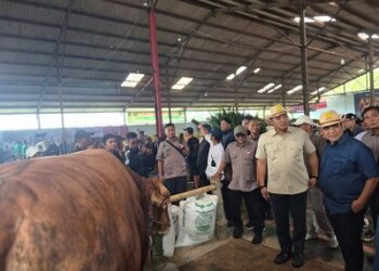 Wamentan Sudaryono dan Ketua MPR RI Dorong Investasi Peternakan, Wonosobo Disiapkan Jadi Sentra Susu Nasional