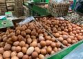 Kementan Perkuat Serapan Telur Peternak Rakyat Saat Produksi Melimpah di Magetan