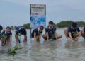 Berkolaborasi dengan Yayasan Puri Siwi dan Lions Club Tangsel, Mainlah.id Tanam 1.500 Mangrove di Pulau Pari, Dorong Generasi Muda Peduli Lingkungan