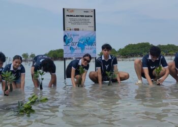 Berkolaborasi dengan Yayasan Puri Siwi dan Lions Club Tangsel, Mainlah.id Tanam 1.500 Mangrove di Pulau Pari, Dorong Generasi Muda Peduli Lingkungan
