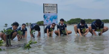 Berkolaborasi dengan Yayasan Puri Siwi dan Lions Club Tangsel, Mainlah.id Tanam 1.500 Mangrove di Pulau Pari, Dorong Generasi Muda Peduli Lingkungan