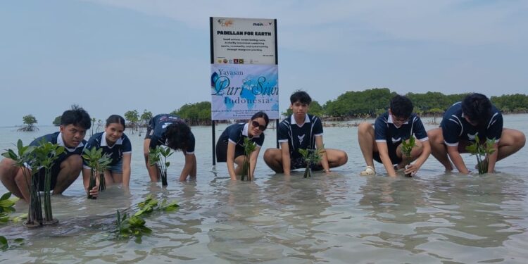 Berkolaborasi dengan Yayasan Puri Siwi dan Lions Club Tangsel, Mainlah.id Tanam 1.500 Mangrove di Pulau Pari, Dorong Generasi Muda Peduli Lingkungan