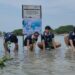 Berkolaborasi dengan Yayasan Puri Siwi dan Lions Club Tangsel, Mainlah.id Tanam 1.500 Mangrove di Pulau Pari, Dorong Generasi Muda Peduli Lingkungan