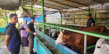 Pemkot Tangsel Perketat Pengawasan Hewan Kurban, Ribuan Ekor Dipastikan Sehat Jelang Iduladha