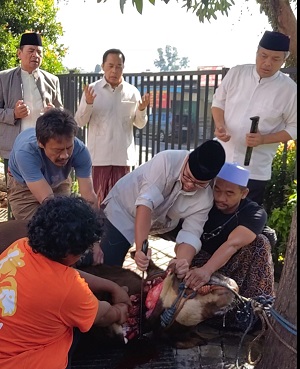 Enam Tahun Menyembelih Kurban Sendiri, Pilar Saga Ichsan: Ada Doa yang Ingin Saya Sampaikan Langsung