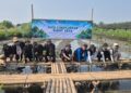 Peringati Hari Lingkungan Hidup 2026, IKPP Tangerang Tanam 10.000 Mangrove Langka di Mauk