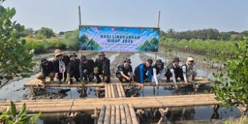Peringati Hari Lingkungan Hidup 2026, IKPP Tangerang Tanam 10.000 Mangrove Langka di Mauk
