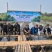 Peringati Hari Lingkungan Hidup 2026, IKPP Tangerang Tanam 10.000 Mangrove Langka di Mauk