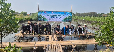 Peringati Hari Lingkungan Hidup 2026, IKPP Tangerang Tanam 10.000 Mangrove Langka di Mauk