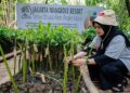 Hadapi Ancaman Abrasi dan Perubahan Iklim, Prudential Indonesia Tambah 5.500 Mangrove untuk Pesisir Jakarta