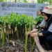 Hadapi Ancaman Abrasi dan Perubahan Iklim, Prudential Indonesia Tambah 5.500 Mangrove untuk Pesisir Jakarta
