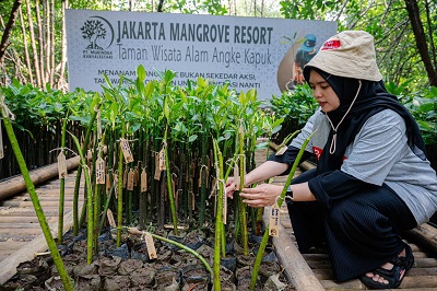 Hadapi Ancaman Abrasi dan Perubahan Iklim, Prudential Indonesia Tambah 5.500 Mangrove untuk Pesisir Jakarta
