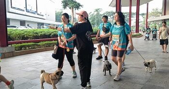 PET KINGDOM Gelar PAWJOG 9 di QBIG BSD, Ajak 800 Pawrents dan Anabul Pererat Momen Kebersamaan
