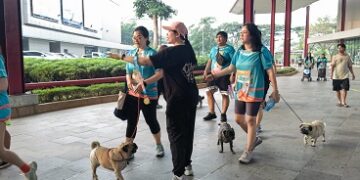 PET KINGDOM Gelar PAWJOG 9 di QBIG BSD, Ajak 800 Pawrents dan Anabul Pererat Momen Kebersamaan