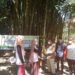 umkm mitra binaan pln