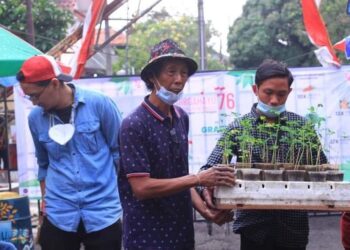 Syamsu Rijal tokoh perintis budi daya kelor di Tangerang Selatan