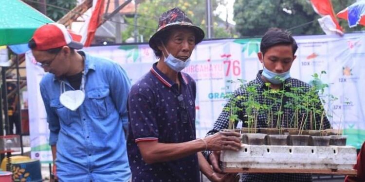 Syamsu Rijal tokoh perintis budi daya kelor di Tangerang Selatan