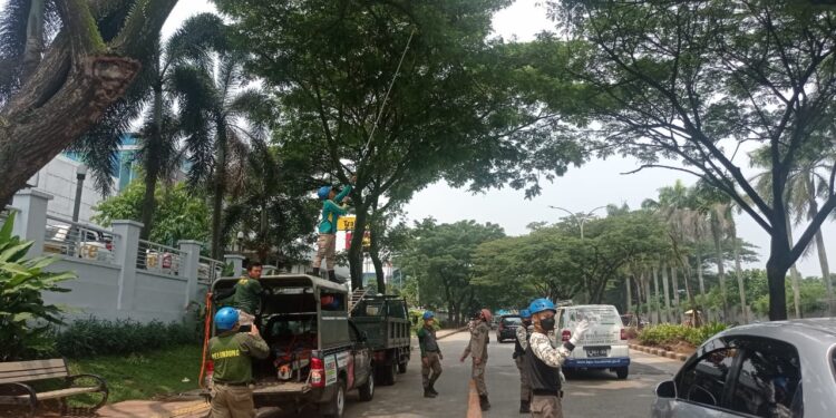 Pasca Angin Kencang, Pemkot Tangsel Lakukan Mitigasi Kebencanaan