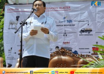gandeng hdpki, kementan optimalkan pengebangan ternak kambing/domba