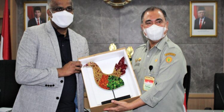 Indonesia Siap Ekspor Unggas dan Produknya ke Singapura