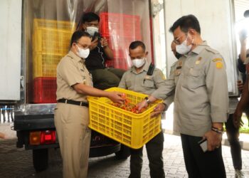 Jelang Idul Adha, Kementan Siapkan Kebutuhan Pangan di Wilayah DKI Jakarta