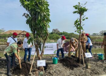 Sinar Mas Land Lakukan Penanaman Ratusan Pohon di Wilayah Kabupaten Tangerang