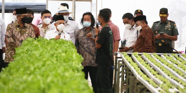 Pj Gubernur Banten Al Muktabar Dampingi Wapres KH Ma’ruf Amin Meninjau PT Singapura Fresh Green Makmur