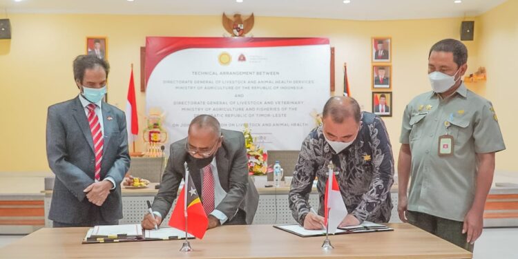 Indonesia dan Timor Leste Perkuat Kerjasama Sub Sektor Peternakan dan Kesehatan Hewan