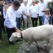 Mentan SYL Ajak Para Peternakan di Kabupaten Bogor Penuhi Kebutuhan Daging Lokal