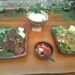 Hadir di Bintaro, Bebek Salaman Tawarkan Menu Bebek Unik dan Otentik