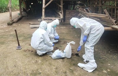Kementan Respon Cepat Laporan Anthrax di Gunung Kidul dan Sleman