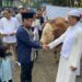Sekolah Al-Azhar BSD Rayakan Idul Adha 1445 H dengan Menyumbangkan 143 Kambing dan 14 Sapi Kurban