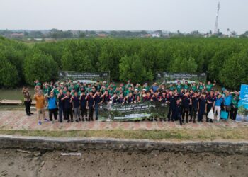 Alam Sutera Lakukan Restorasi Fungsi Ekologis Hutan Mangrove Gelombang Kedua