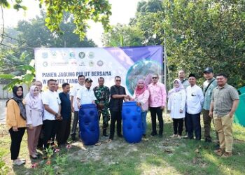 Panen Jagung Pulut di Tangsel, Pilar: Ajang Edukasi Anak-anak Tentang Pertanian