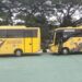 Pemkot Tangsel Tambah Rute Bus Sekolah Gratis untuk Pelajar, Simak Rutenya!