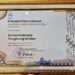 Pemkot Tangsel Raih Penghargaan Nasional Pengelolaan Kinerja Terbaik dari BKN