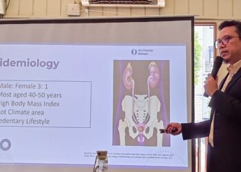 Enam Pekan Sumbatan Batu Ginjal Bisa Rusak Ginjal, Dokter Tekankan Pentingnya Deteksi Dini